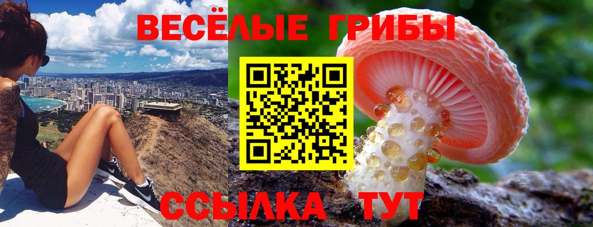 Псилоцибиновые грибы MAGIC MUSHROOMS Малоярославец