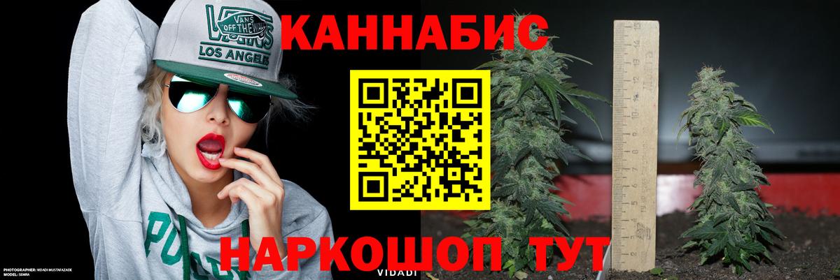 Канабис план Малоярославец